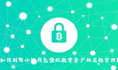 如何利用小狐钱包实现数字资产的高效管理？